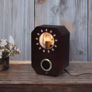 Đèn Trang trí + Loa Bluetooth LIVIVAN A20